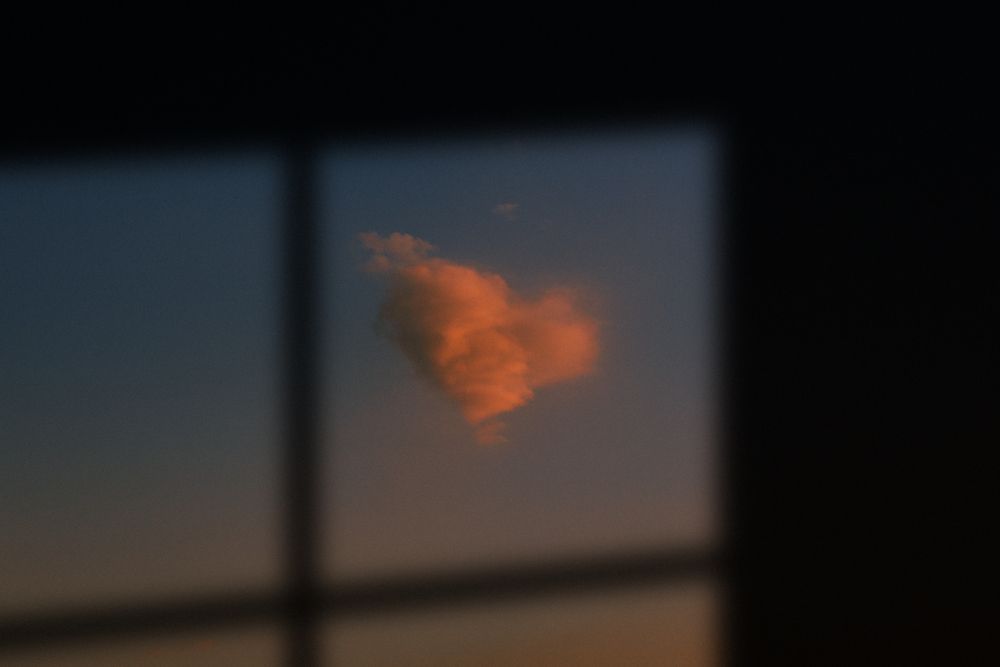 Photograph by Сергей Удовиченко