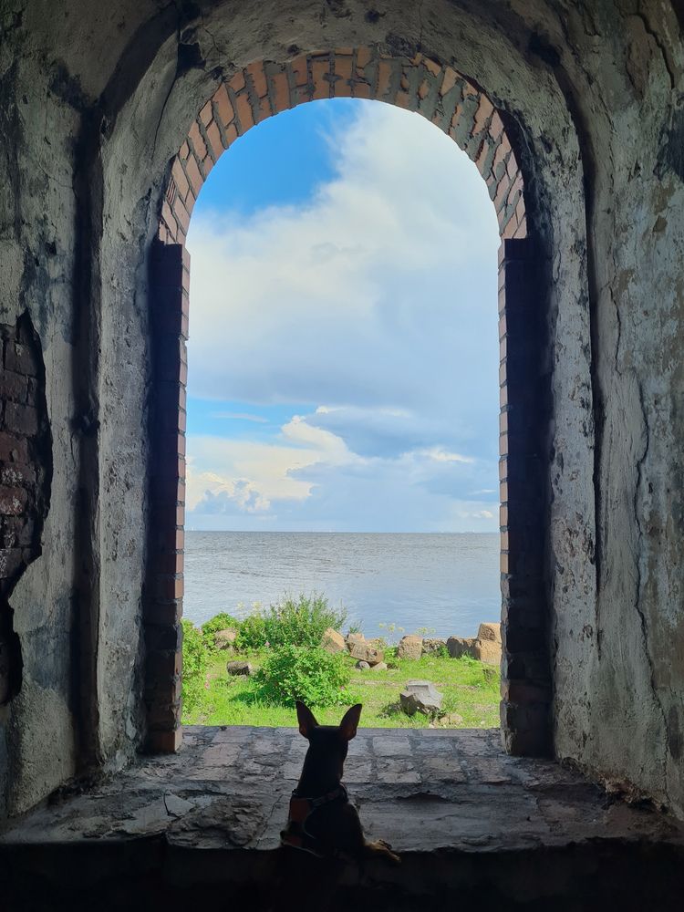 Photograph by Ирина Хлебникова