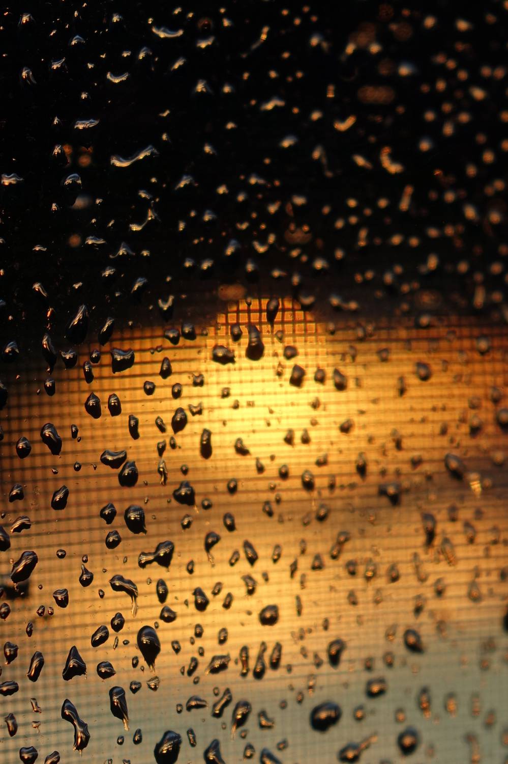 Photo #13528449