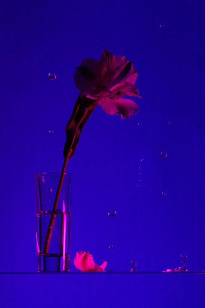 Photograph by Екатерина Пачина