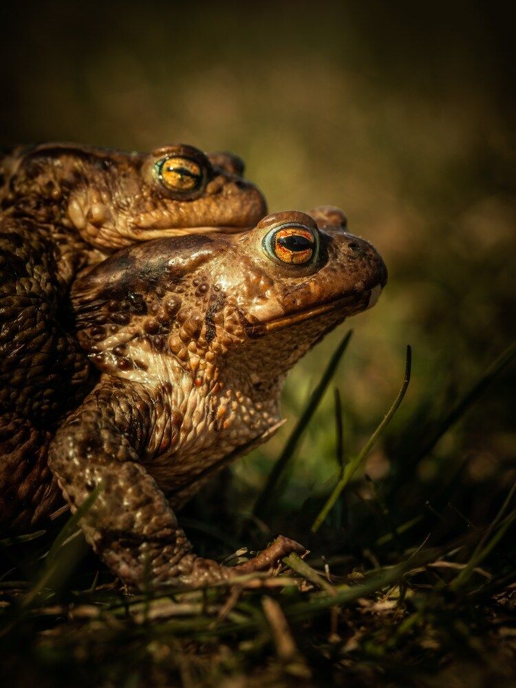 Photograph by Белокуров Сергей