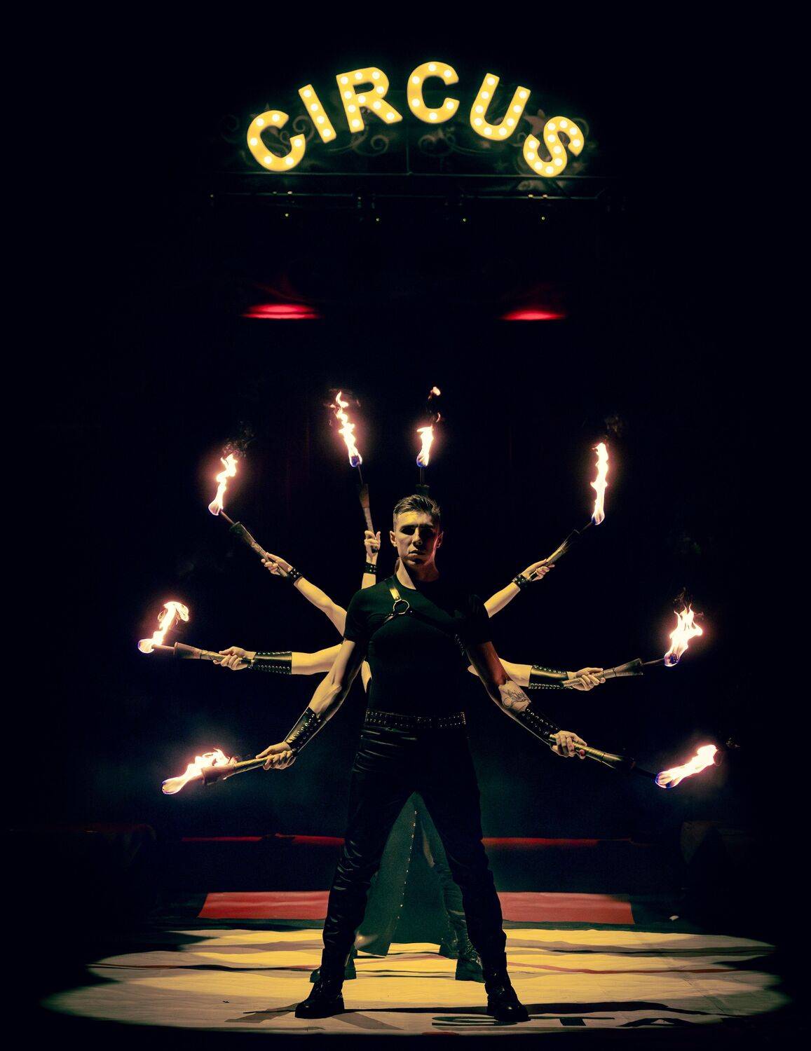 Photo #13528652