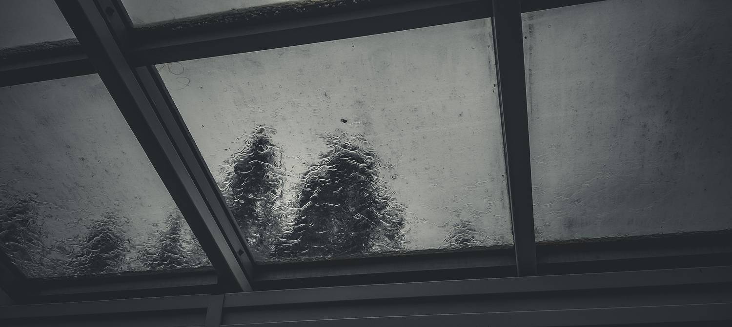 Photo #13528766