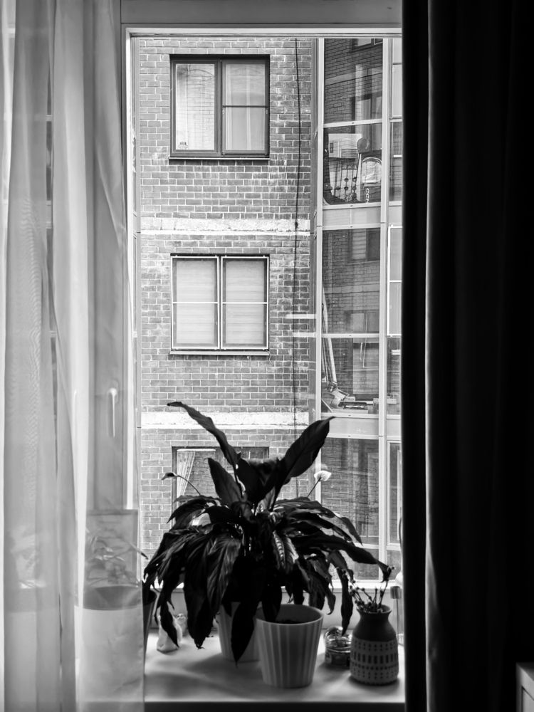 Photograph by Дина Калинина