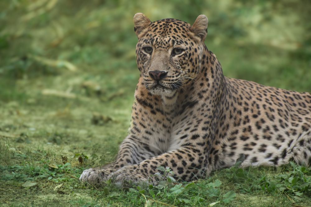 Photograph by AJAY KUMAR