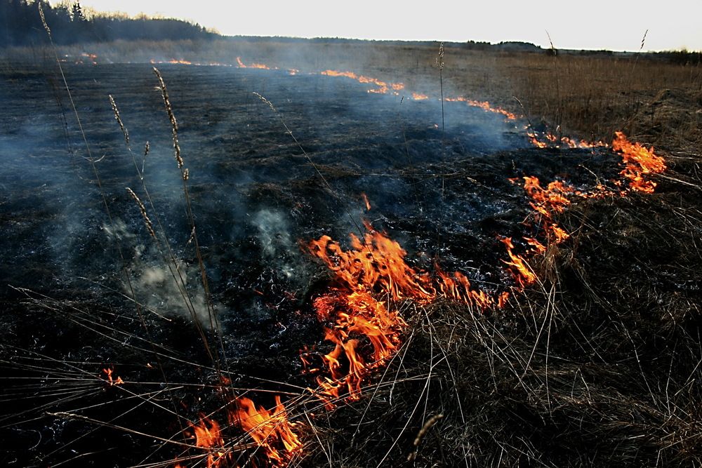 Photograph by Александр Лазебник