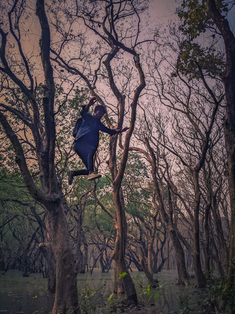 I want to fly