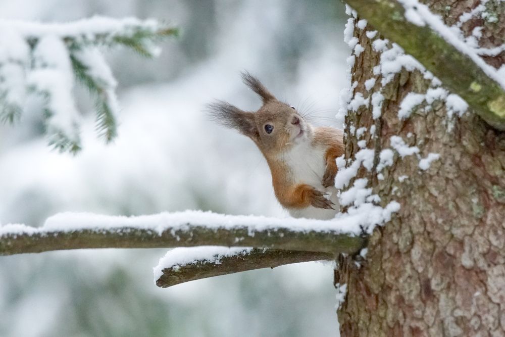 Photograph by Алексей Курносов
