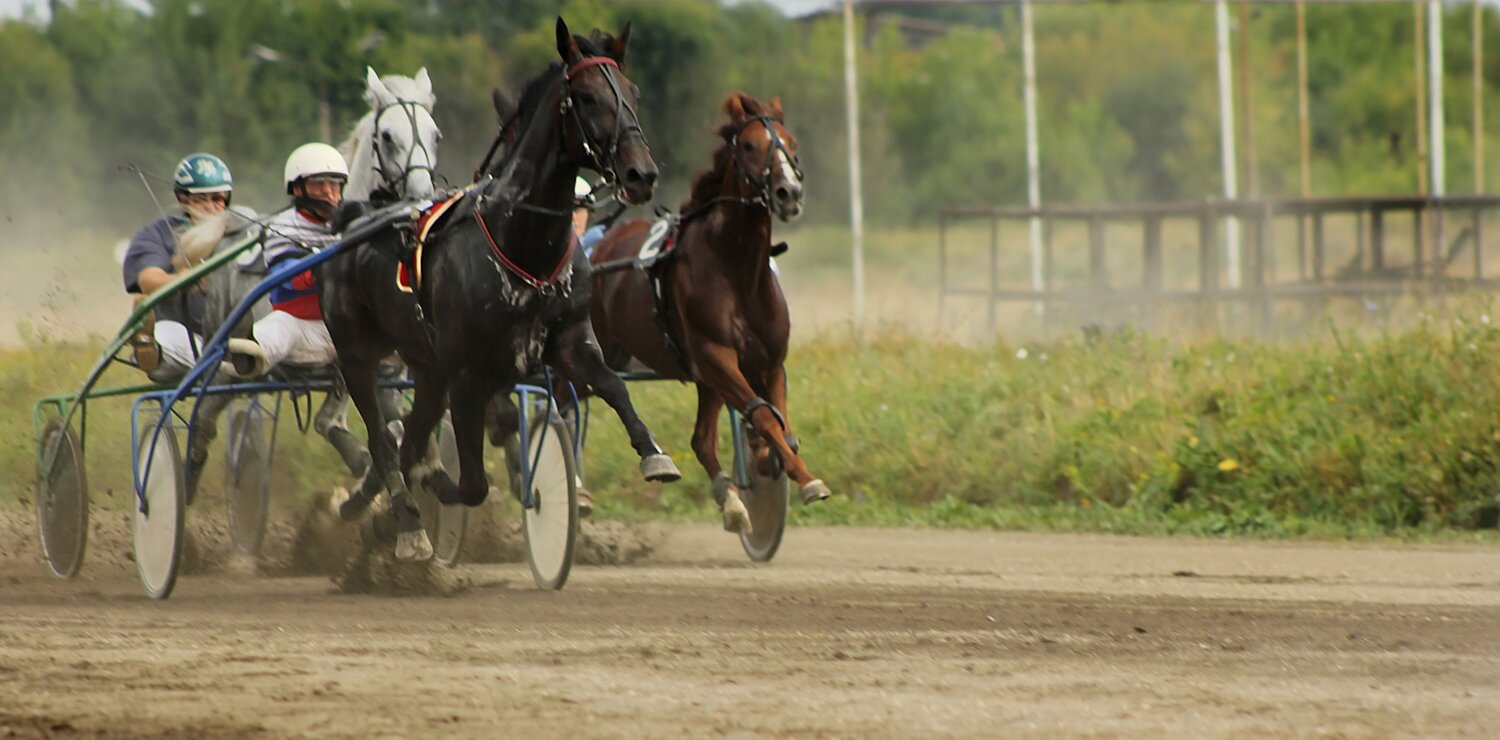 Photo #13529088