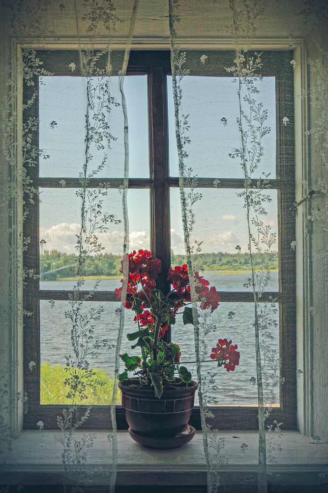 Photograph by Елена Щитова