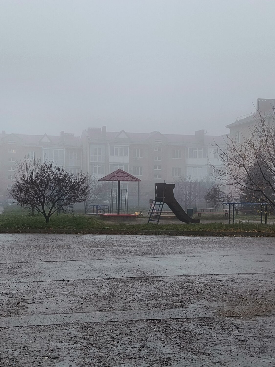 Photo #13529147