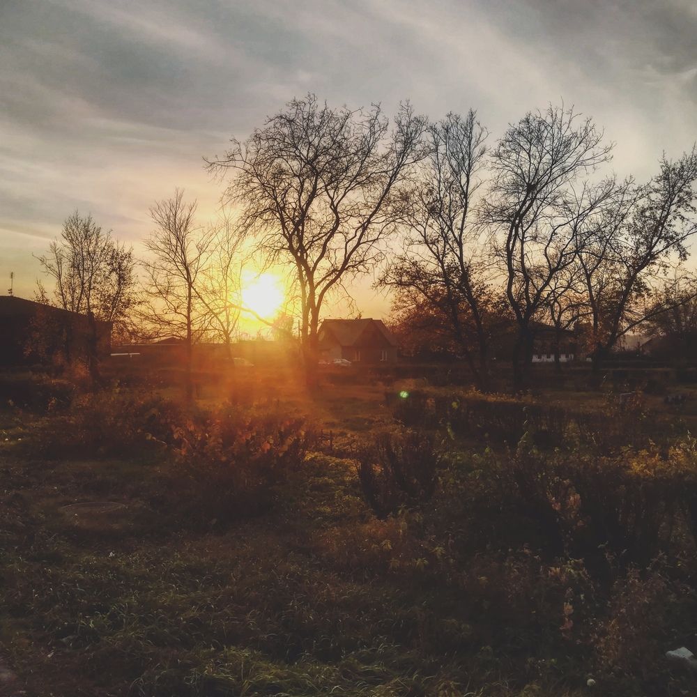 Photograph by Наталья Маврина