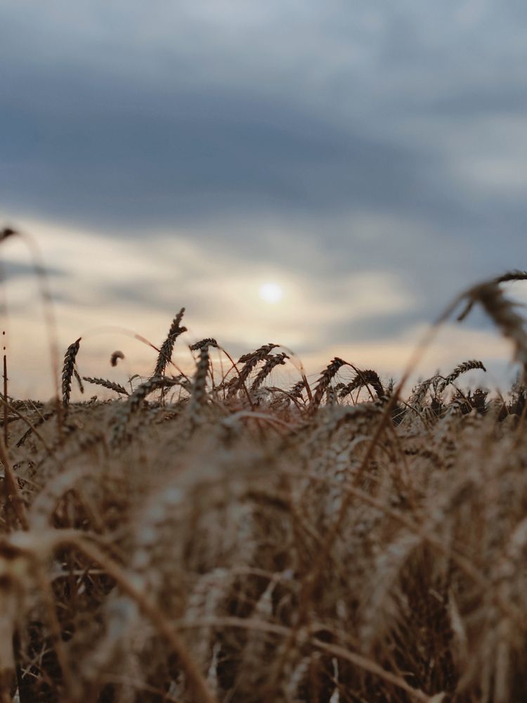 Photograph by Наталья Маврина