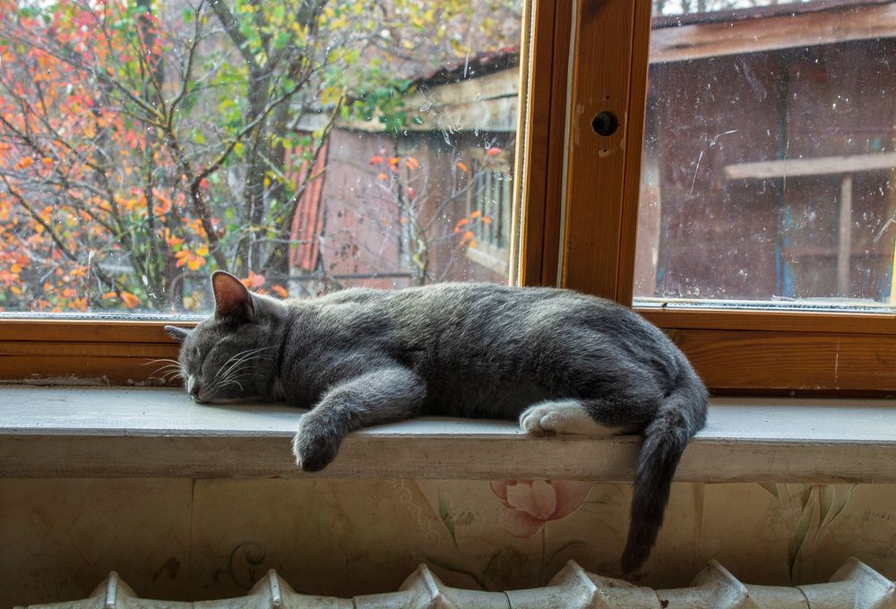 Photograph by Оксана Леонтьева