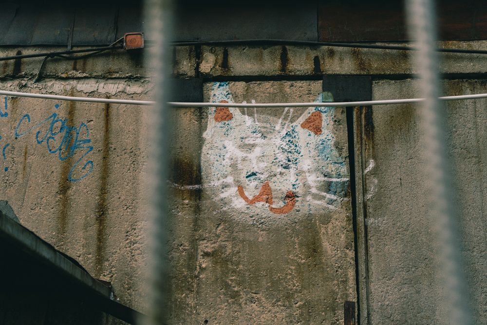 Photograph by Елизавета Карачинская