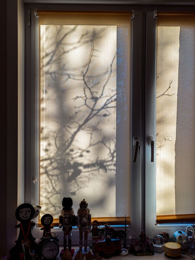 Photograph by Aliaksei Jodko