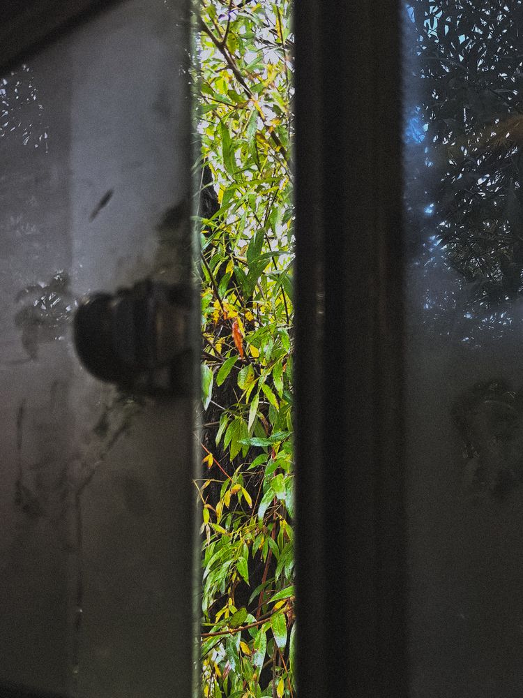 Photograph by Екатерина Вакалова
