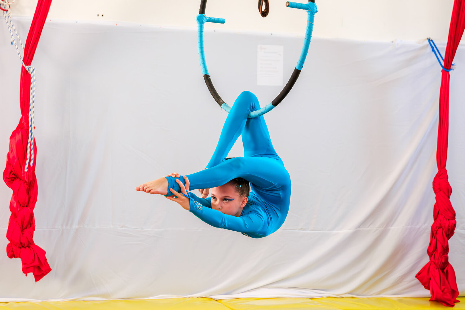 Photo #13529602