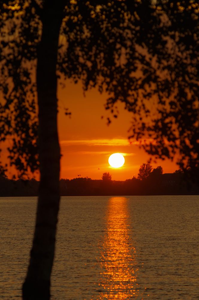 Photograph by Виталий Монахов