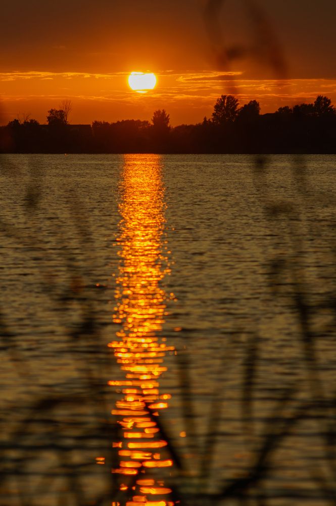 Photograph by Виталий Монахов