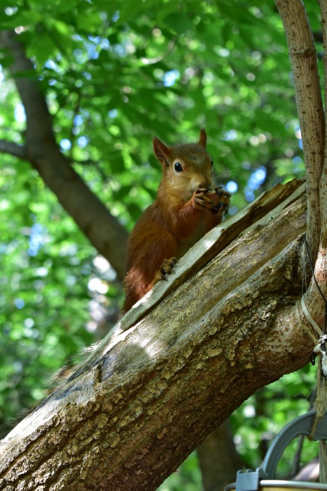 Photograph by Любовь Панфилова