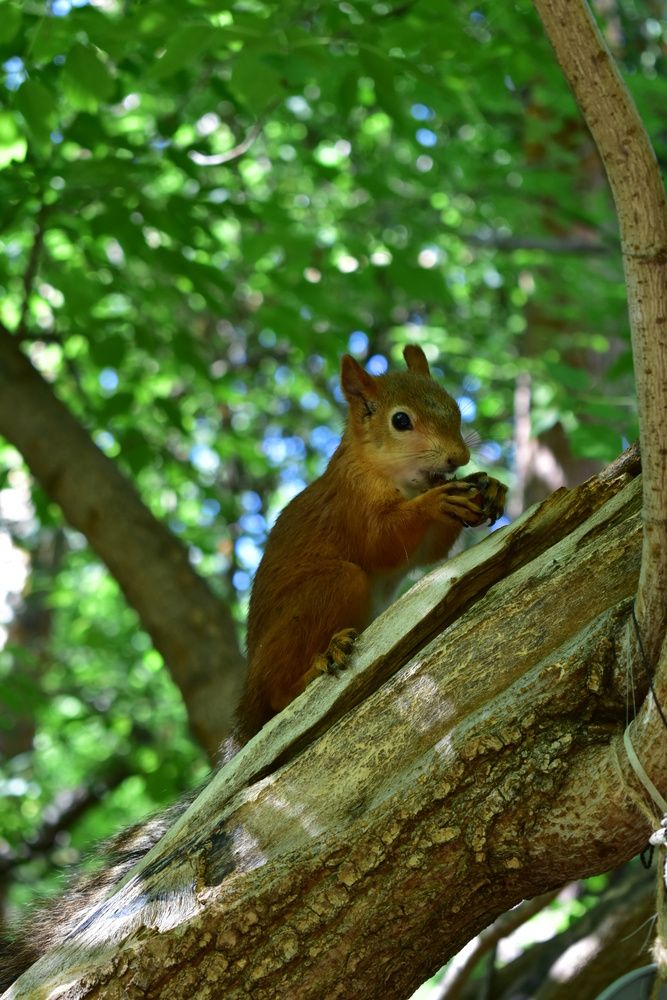 Photograph by Любовь Панфилова