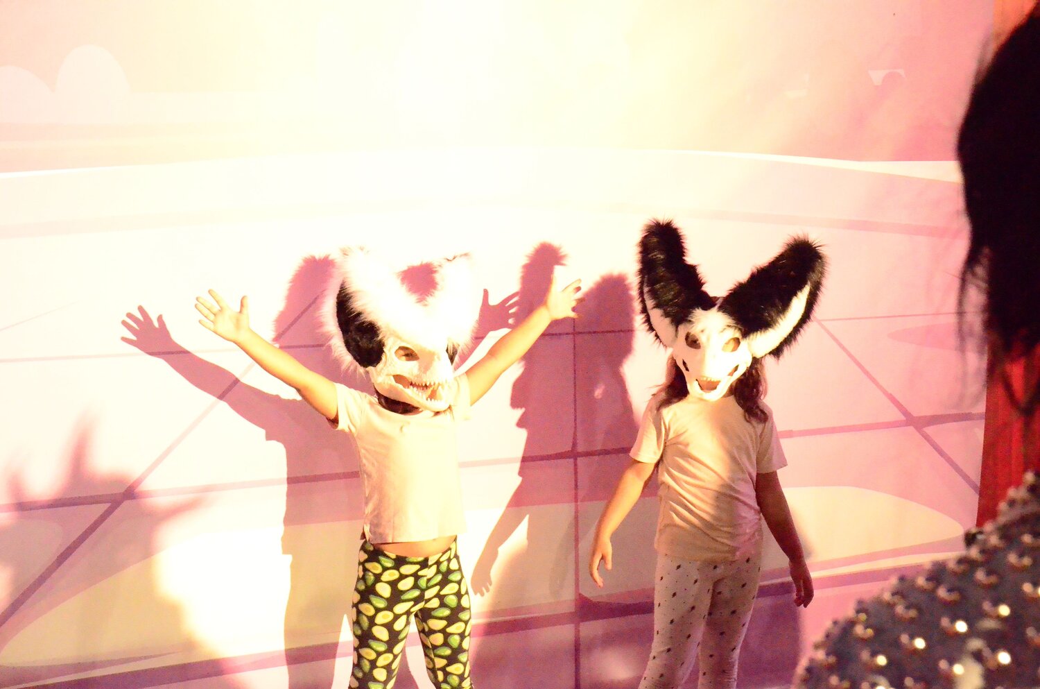 Photo #13529744