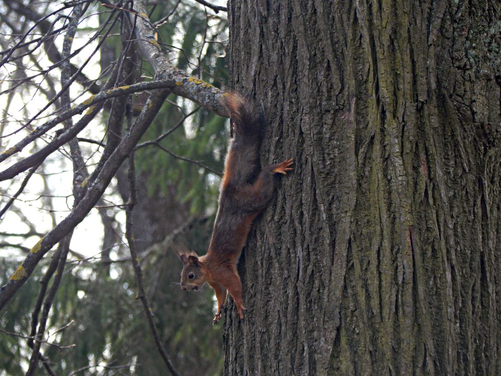 Photograph by Кирилл Елесин