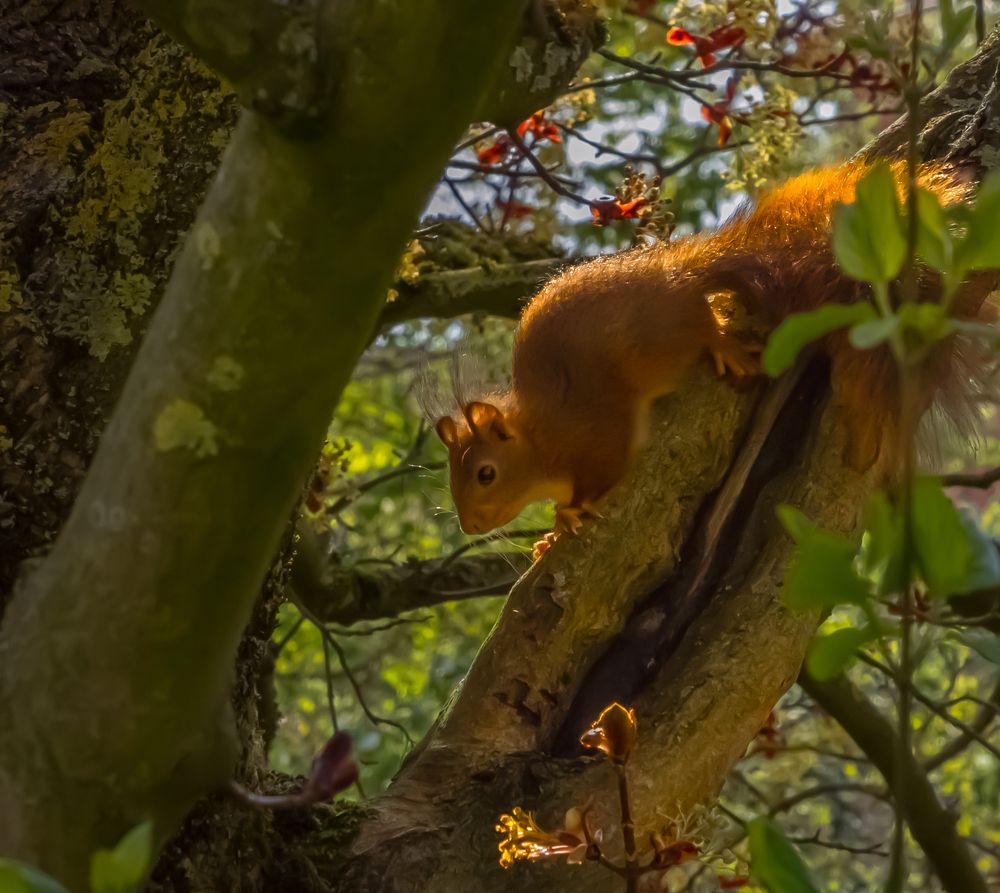 Photograph by Vitalii Kaznin