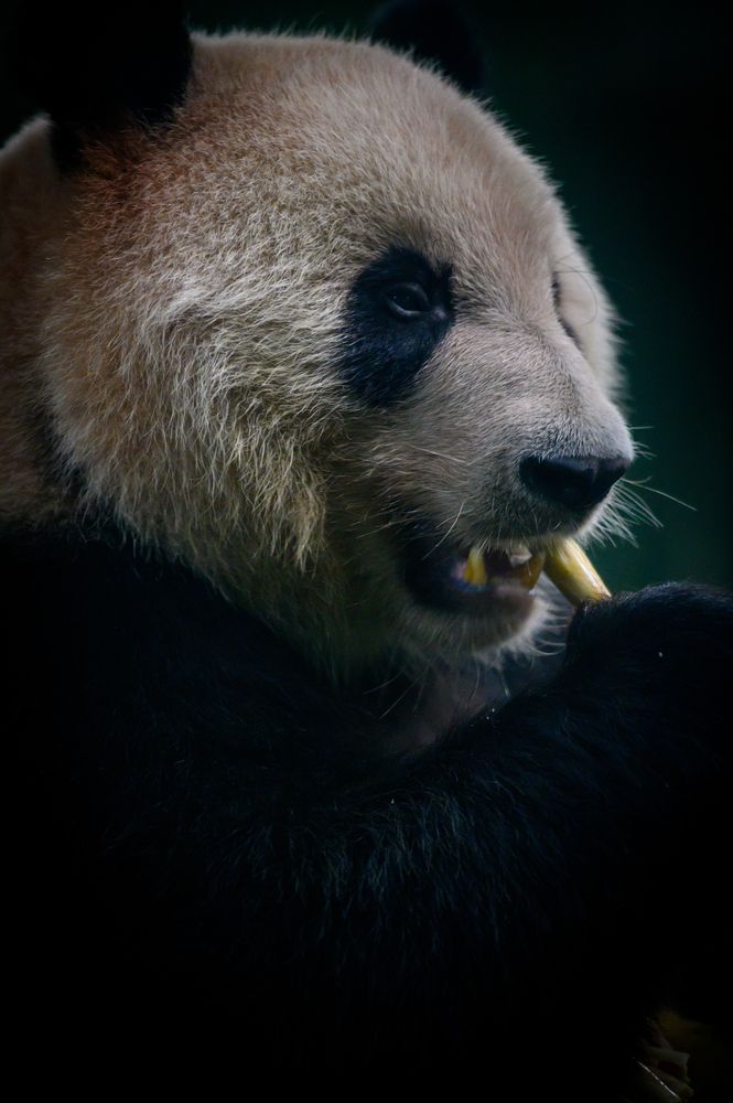 Photograph by Иванюшкин Никита