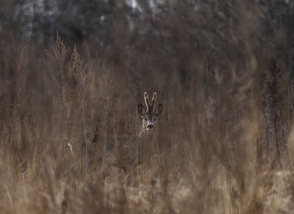 Photograph by Анна Чадова