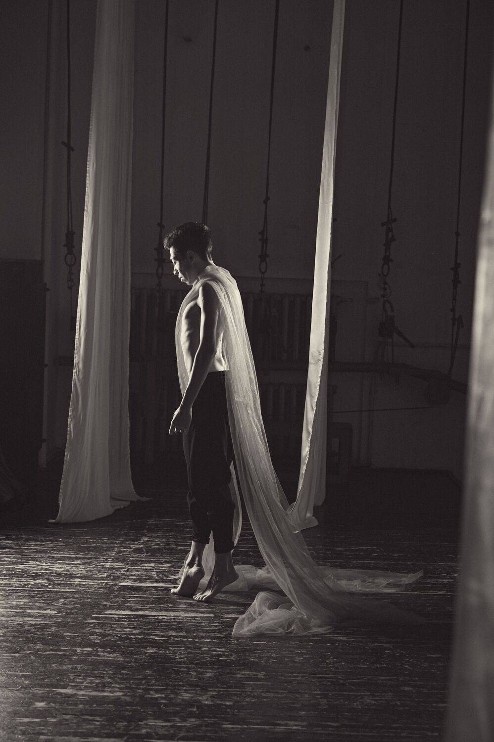 Photo #13530021