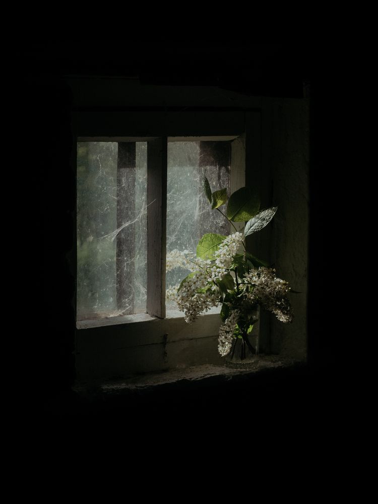 Photograph by Oxa Rusnak