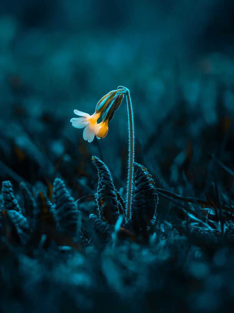 Photograph by Сергей Белокуров