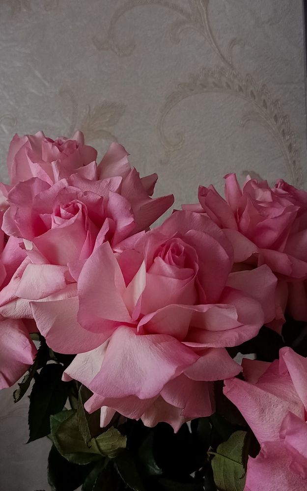 Photograph by Елена Mолнар
