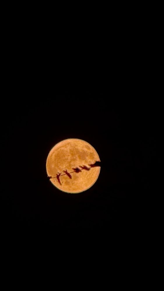 Photograph by Elnaz Tavakoli