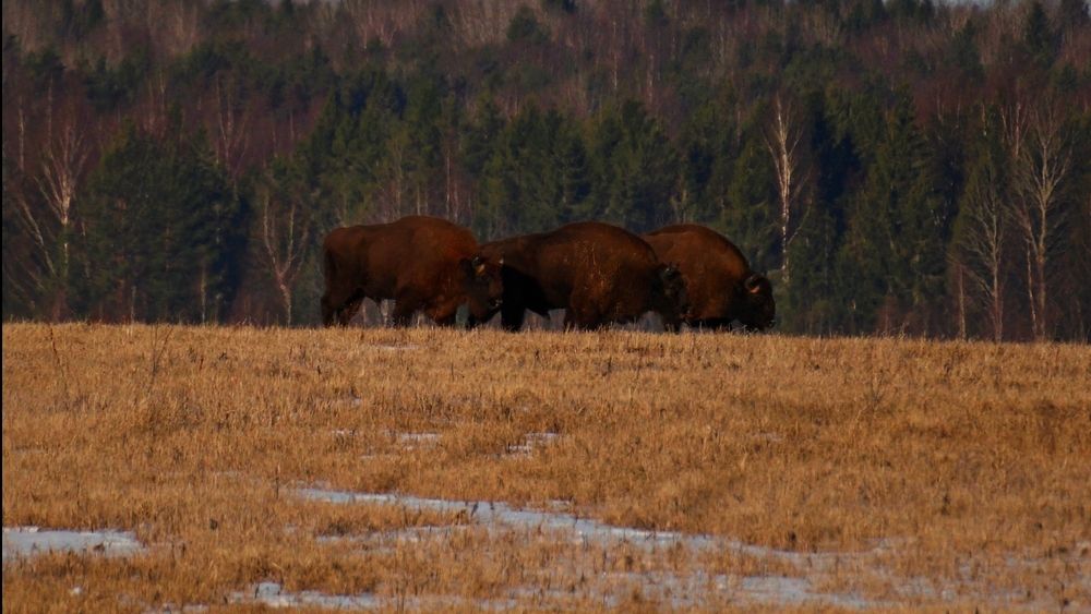 Photograph by Александр Климов