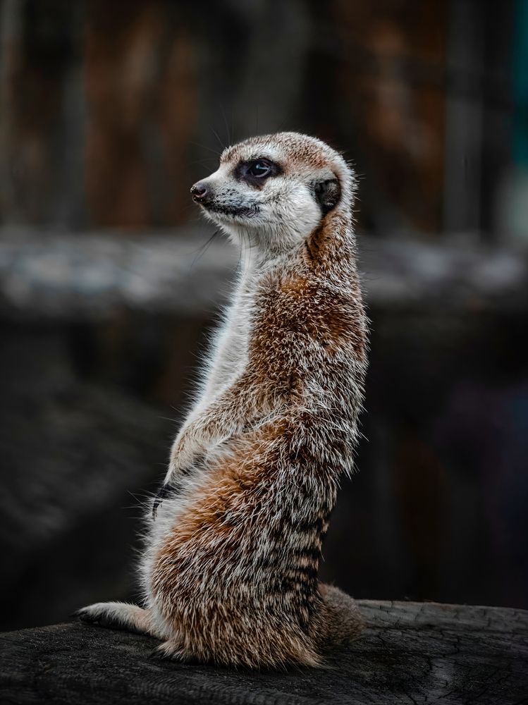 Photograph by Вячеслав Шорин