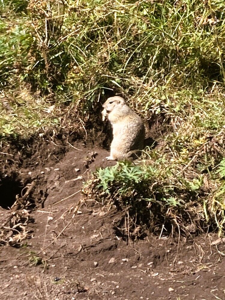 Фотография автора Светлана Парамонова