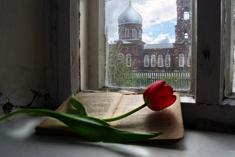 Photograph by Наталия Самкина