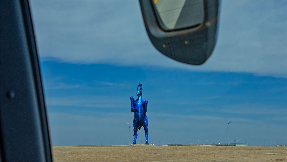 “Blue Mustang”