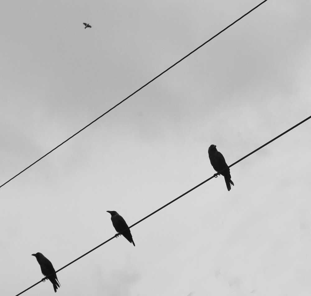 Photograph by DEBASISH SEN