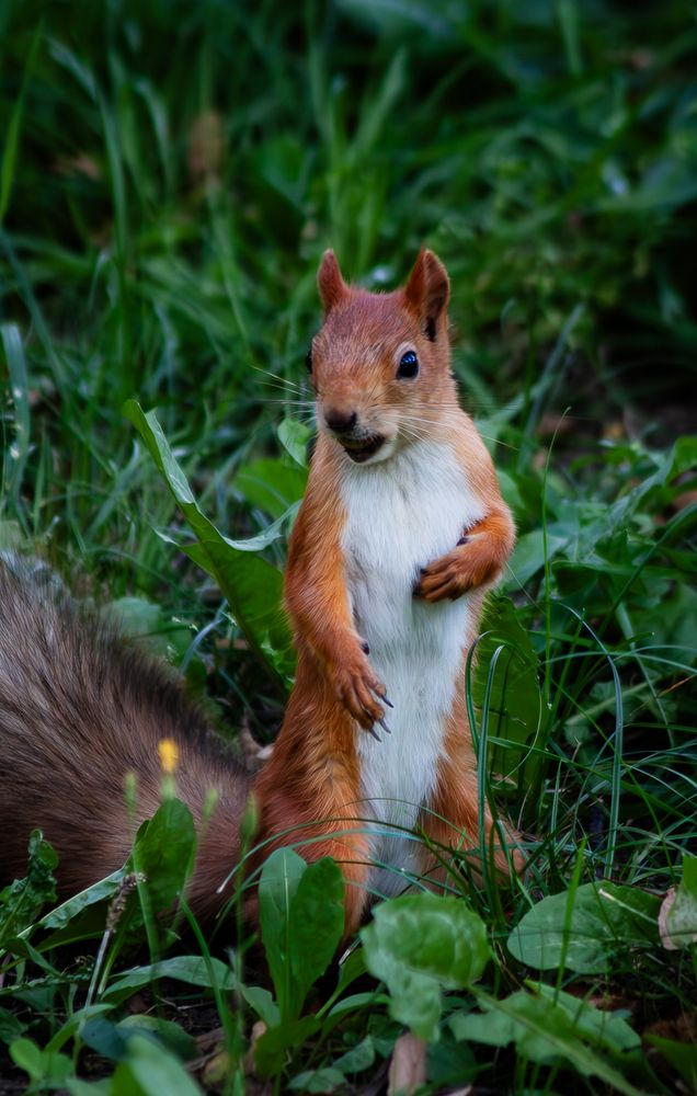 Photograph by Григорий