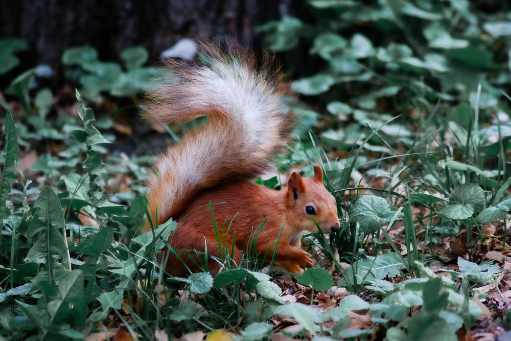Photograph by Григорий