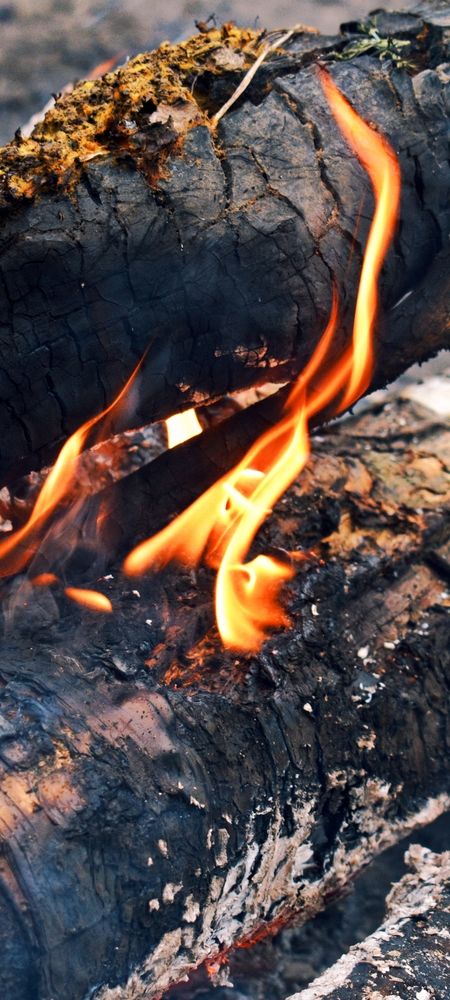 Photograph by Дарья Чертенкова