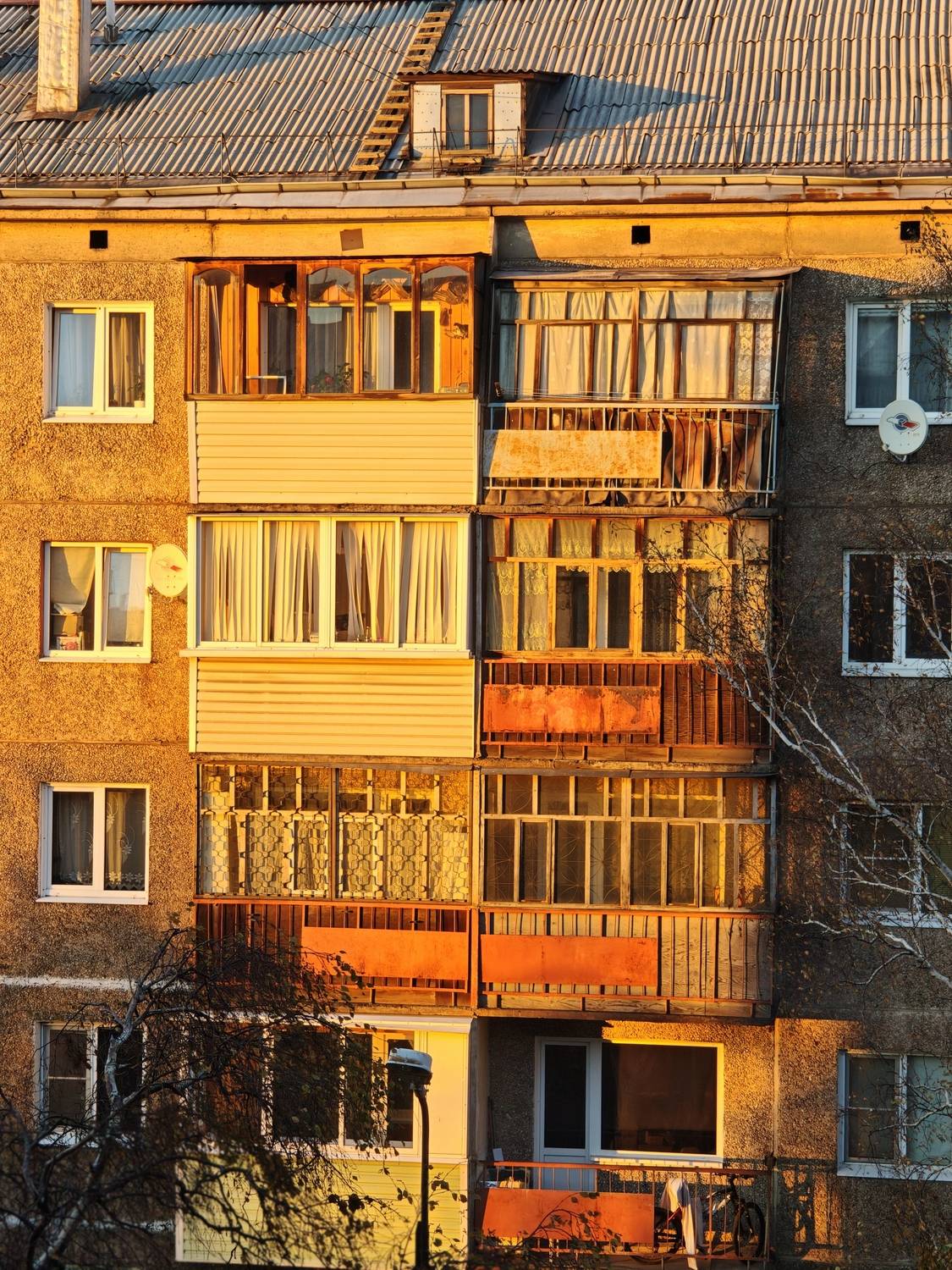 Photo #13530934