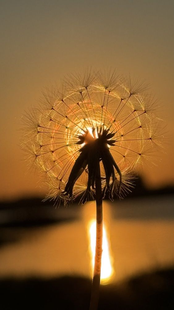 Photograph by Елена Гущина