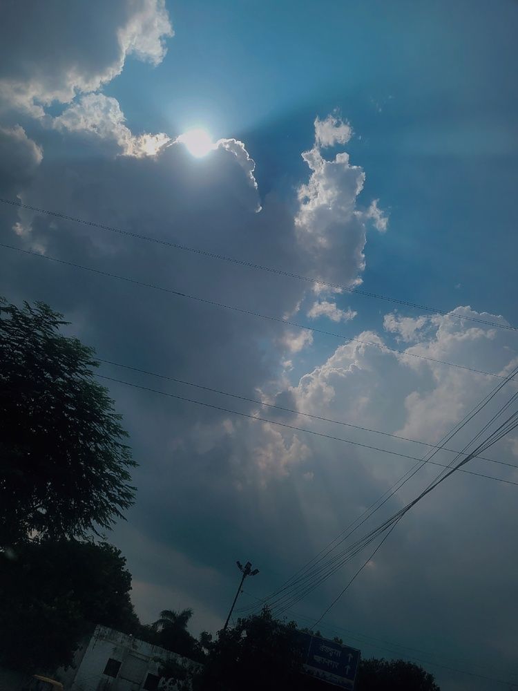 Life finds light✨✨