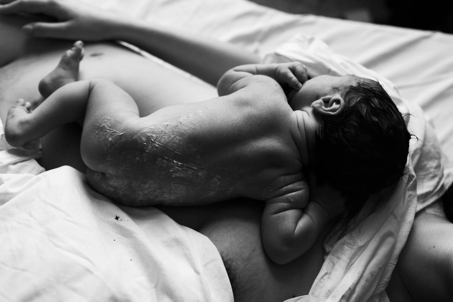 Photo #13531141