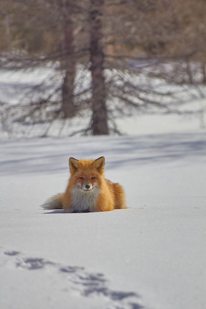 Photograph by Наталия Мащенко